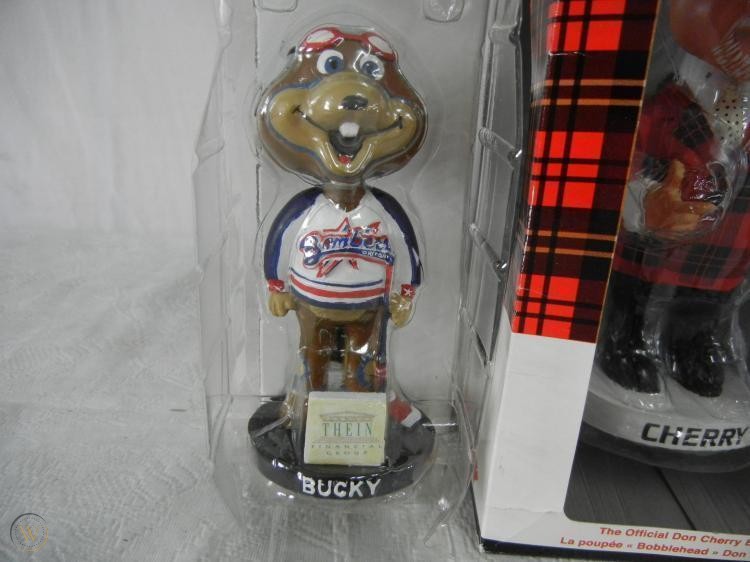 Bucky bobblehead